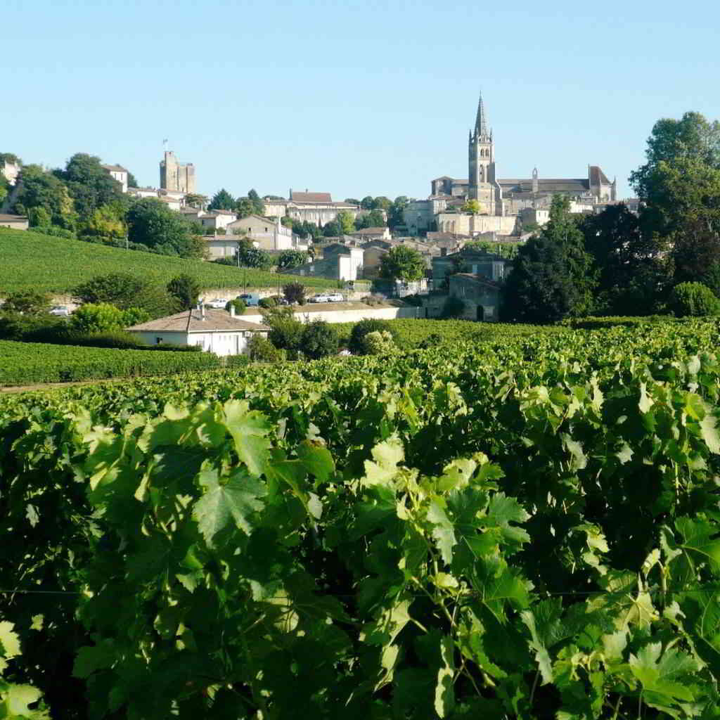 Saint Emilion - vineyards