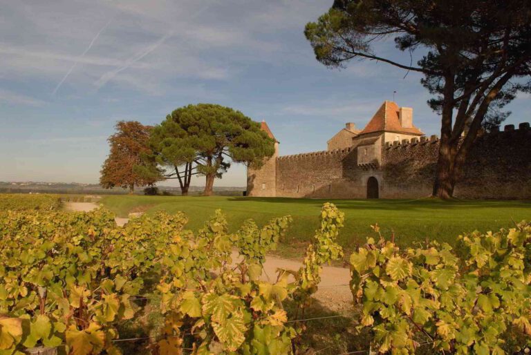 bordeaux-sauternes-yquem-wine