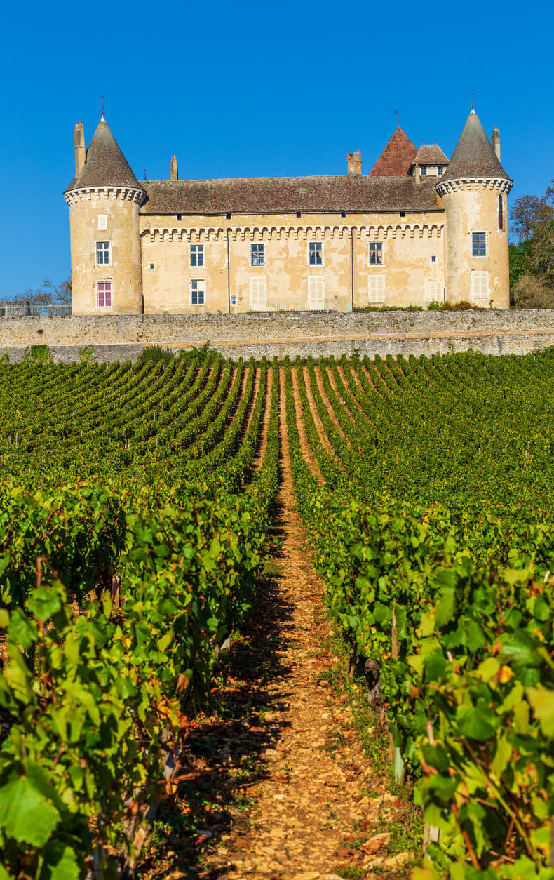burgundy vineyard chateau rully view