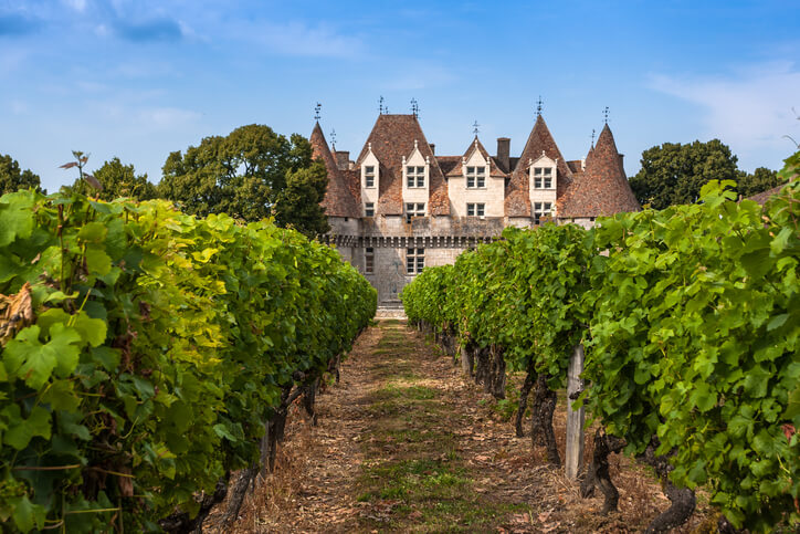 chateau monbazillac acquitaine vineyard