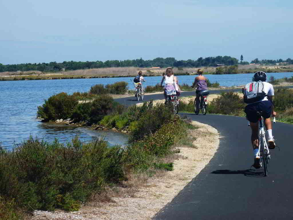 Ile de Ré - biking