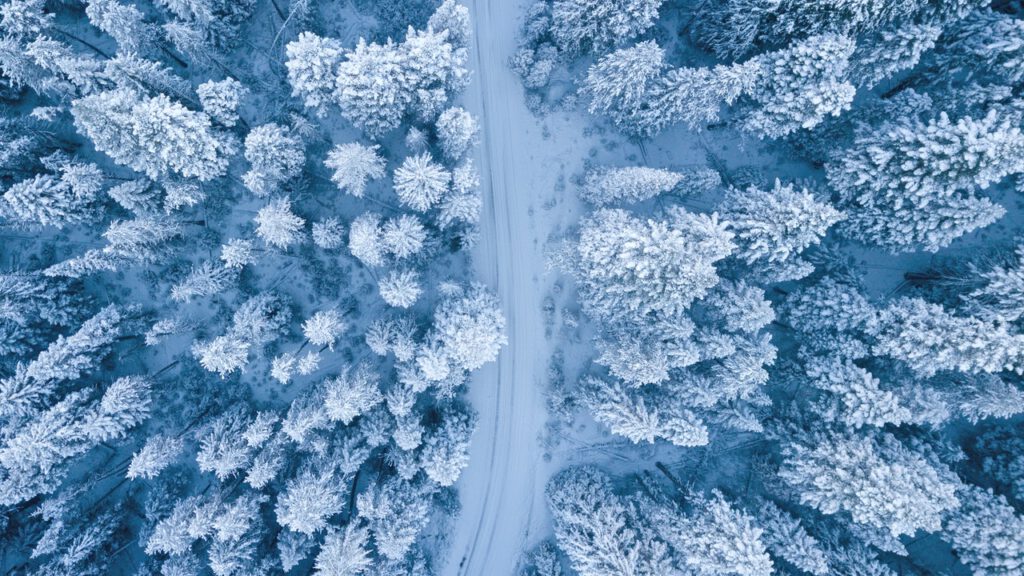 ski snow megeve mountains alps pine trees